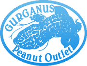 Gurganus Peanuts logo